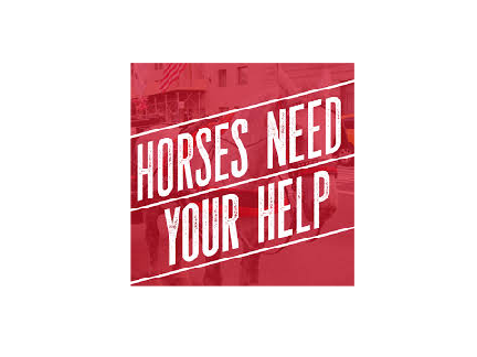 stop horse abuse! remix