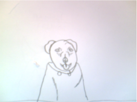 Rottweiler Sketch!