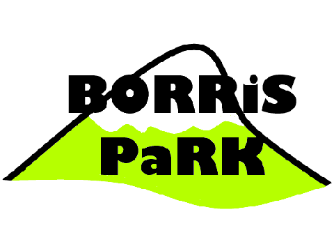 Borris Park- Introduction