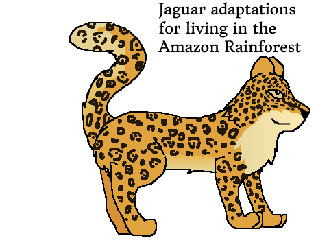 Jaguar Adaptations Writing Project