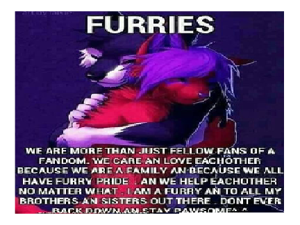 Stay Pawsome Furry Friends