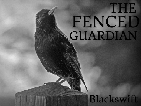 The Fenced Guardian