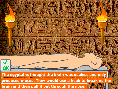 Egyptain Mummification Process