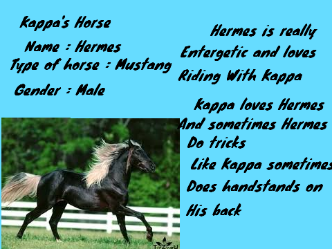 My OC'S Pets