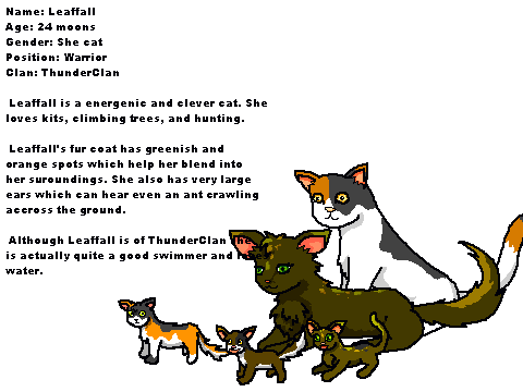 WTCR Cats and kits