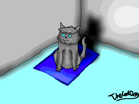 Grey cat on a mat