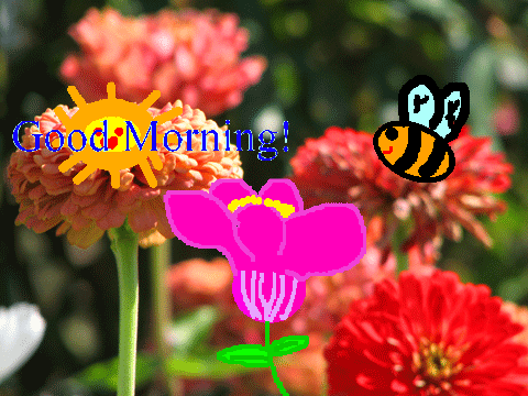 BLOOM BLOOM MORNING!