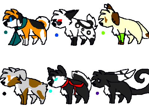 Dog adopts