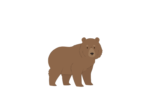 bear
