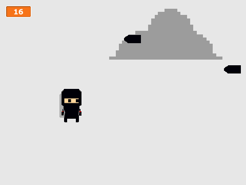 Ninja Flight