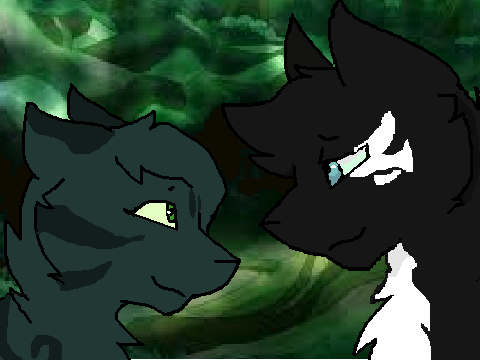Creek X Shadow