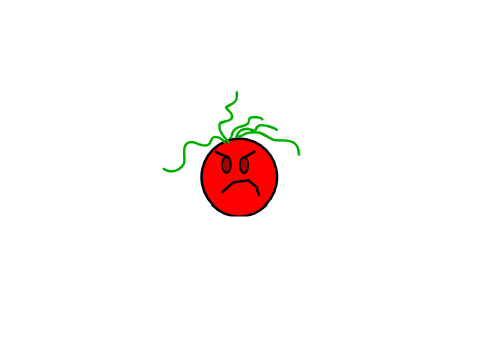 berry.exe