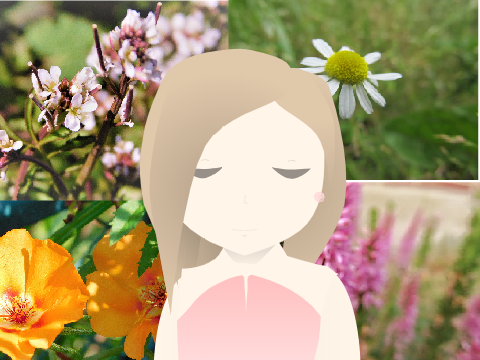 ---Aesthetic Contest---- remix