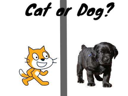 Cat or Dog?