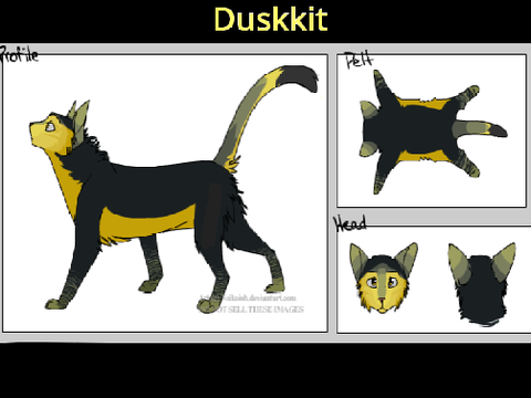 Duskkit - an OC