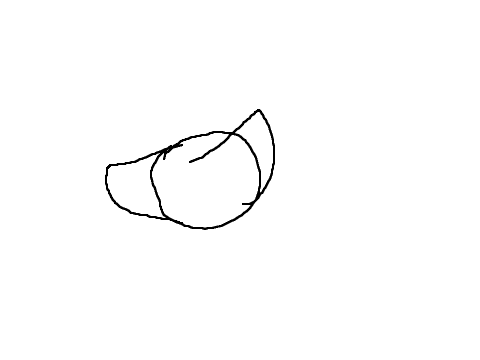 Animation Test