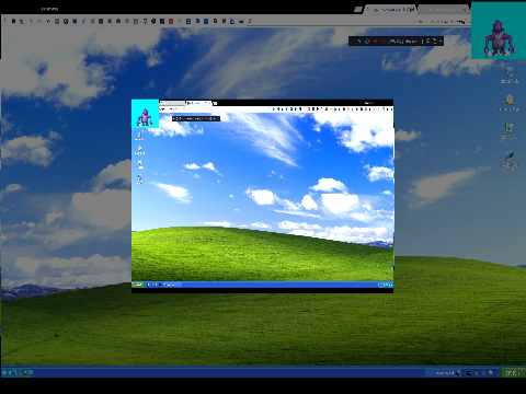 SPMV BonziBUDDY Kills Windows XP Scan