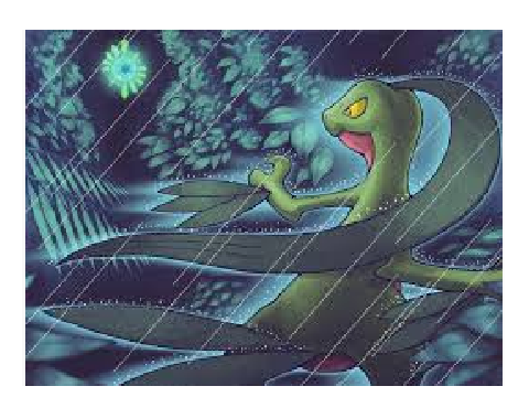pokemon DM / Massko 