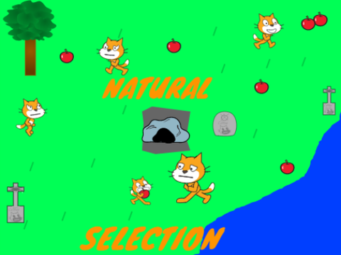 Natural Selection
