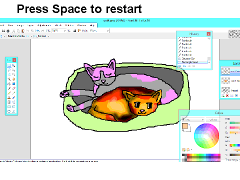 Cat CC Timelapse