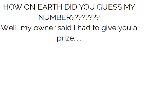 Guess the Number!