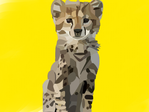 The Newborn Cheetah ll Blockshade ll