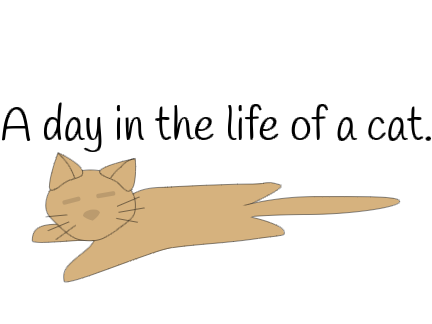 A day in the life of a cat.