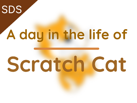A Day in the Life of Scratch Cat