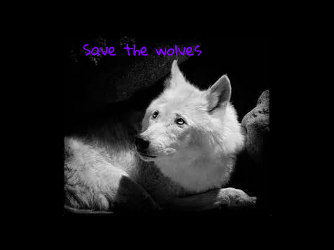 Save the Wolves