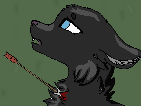 Darkness Eyes CCE
