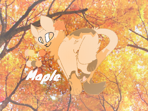 ✩ CLOSED DTA ✩ [CLOSED] RESULTS OUT SOON