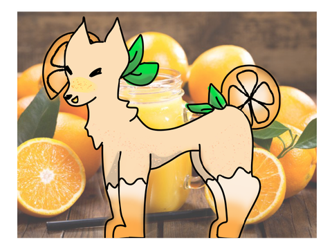 [] DTA [] ENTRY []