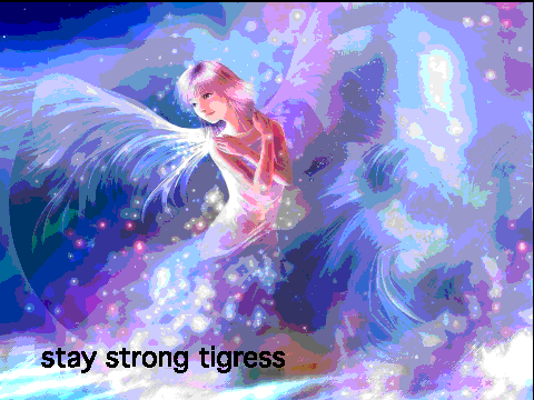 Stay Strong Tigress