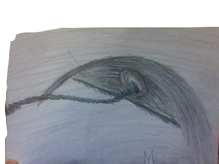 Two Drawings On The Same Paper
