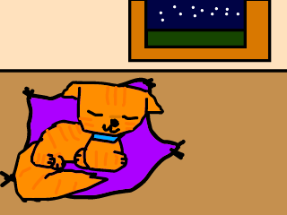 Nya Nya firestar MAP Intro