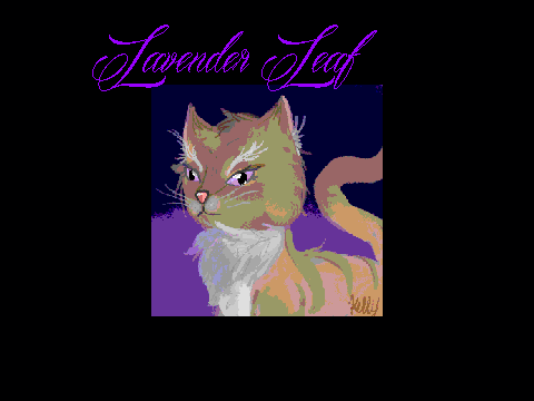My first Warrior OC and digital cat drawing