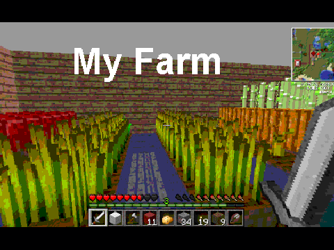 My Minecraft House