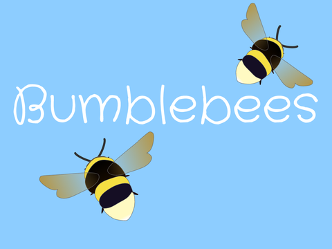 The Bumblebee Crisis We Are Creating