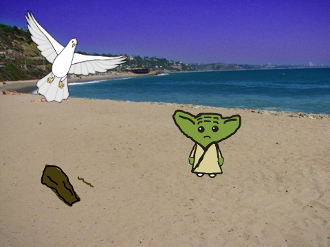 Seagull stop it now...