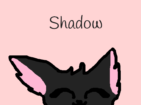 Shadow