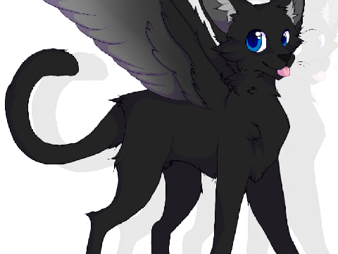 black night