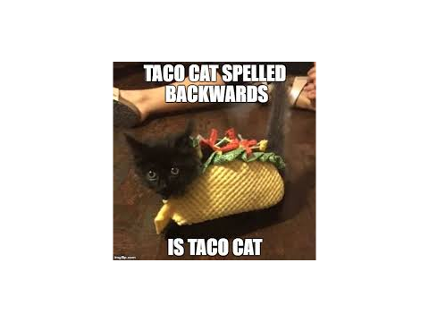 228 Cat Memes!!! :)