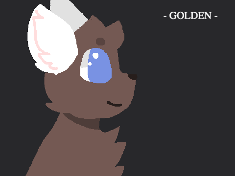 - GOLDEN - 