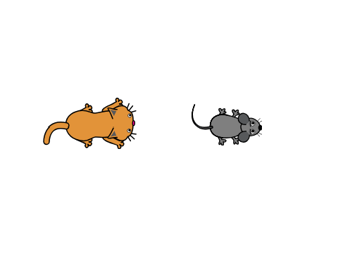 cat vs mouse
