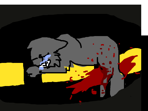 cinderpelt the lonley amv  unfinished