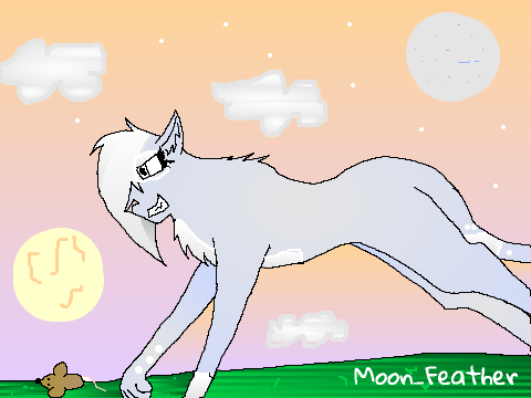 Warrior Cats CC remix-2