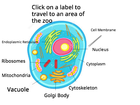 Cell Zoo for Science
