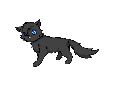 MaskedStar's request (Thunderkit)