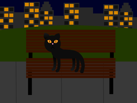 Black Cat #Animal Art2