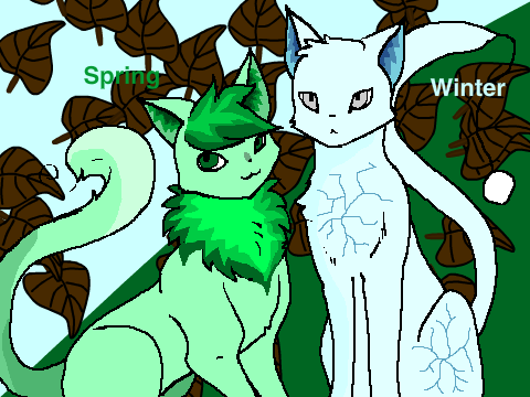 CAT CCE